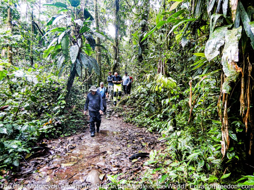 hiking in the amazon