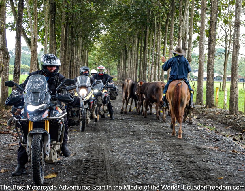 Riding High: The Epic Journey of Ecuador Freedom Bike Rental and Their Fight Against Misleading Brand Copycats