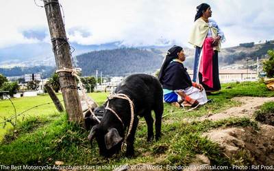 otavalo_animal_market