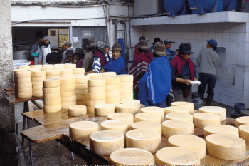 Cheese Maker