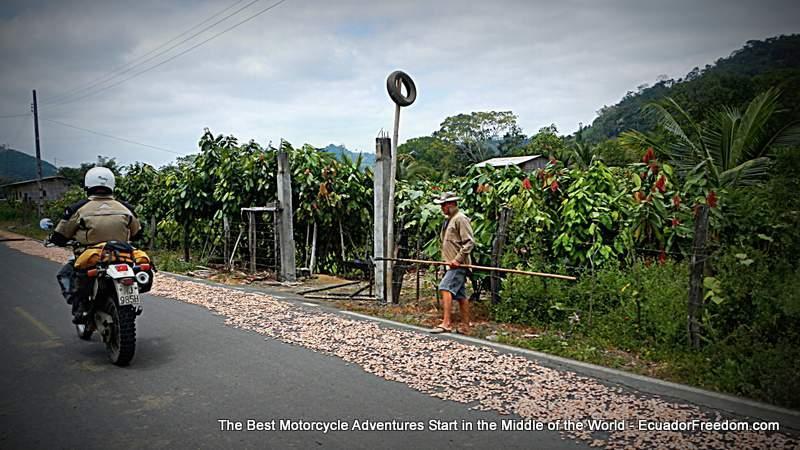 cacao farmer drying cacao alongside road in Ecuador with motorcycle