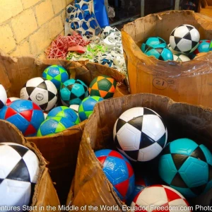 soccer balls packfor apurpose salinas