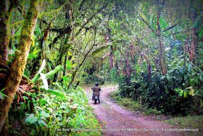 motorcycle riding in the ecuador cloudforest