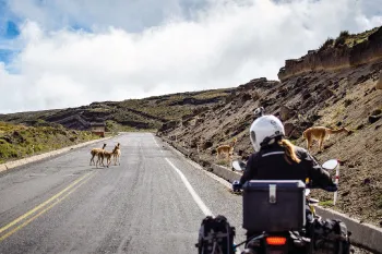 Chimborazo Wildlife Refuge