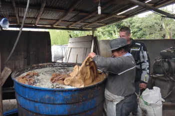 Cotacachi Leather Market and Artisans