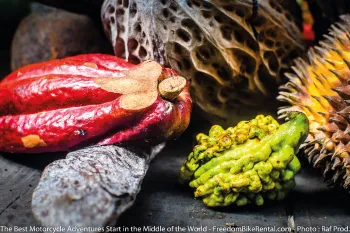 Exotic Fruit Farm