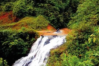 Mashpi Cloudforest Reserve