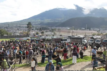 Otavalo Animal Market