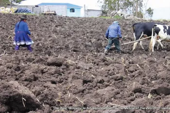 Traditional Farming