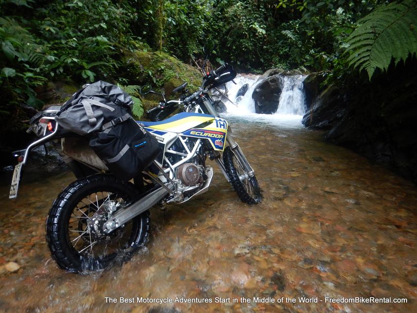 Husky_in_the_waterfall_in_Mashpi